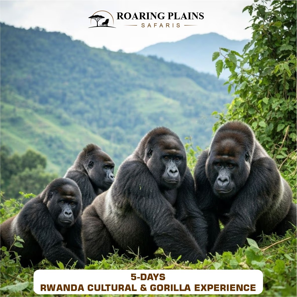 5-Day Rwanda Cultural & Gorilla Experience