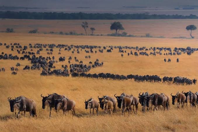 Full Day Big Five Tracking
