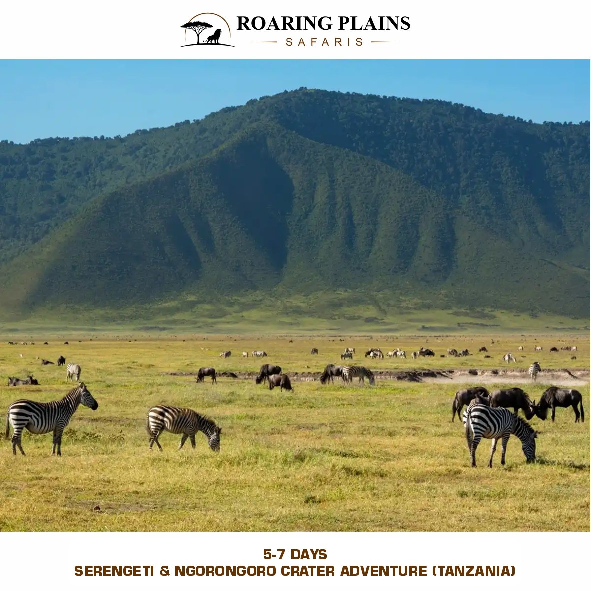 5-7 Days Serengeti & Ngorongoro Crater Adventure (Tanzania)
