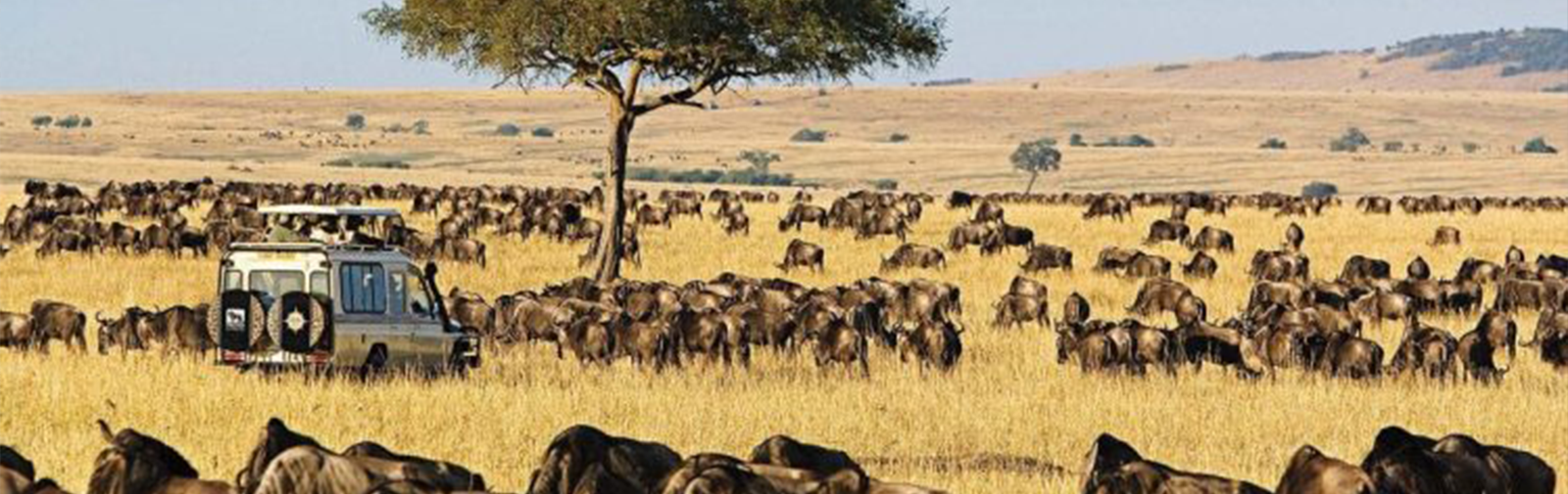 Masai Mara