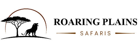 Roaring Plains Safaris
