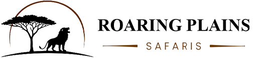 sidaber logo